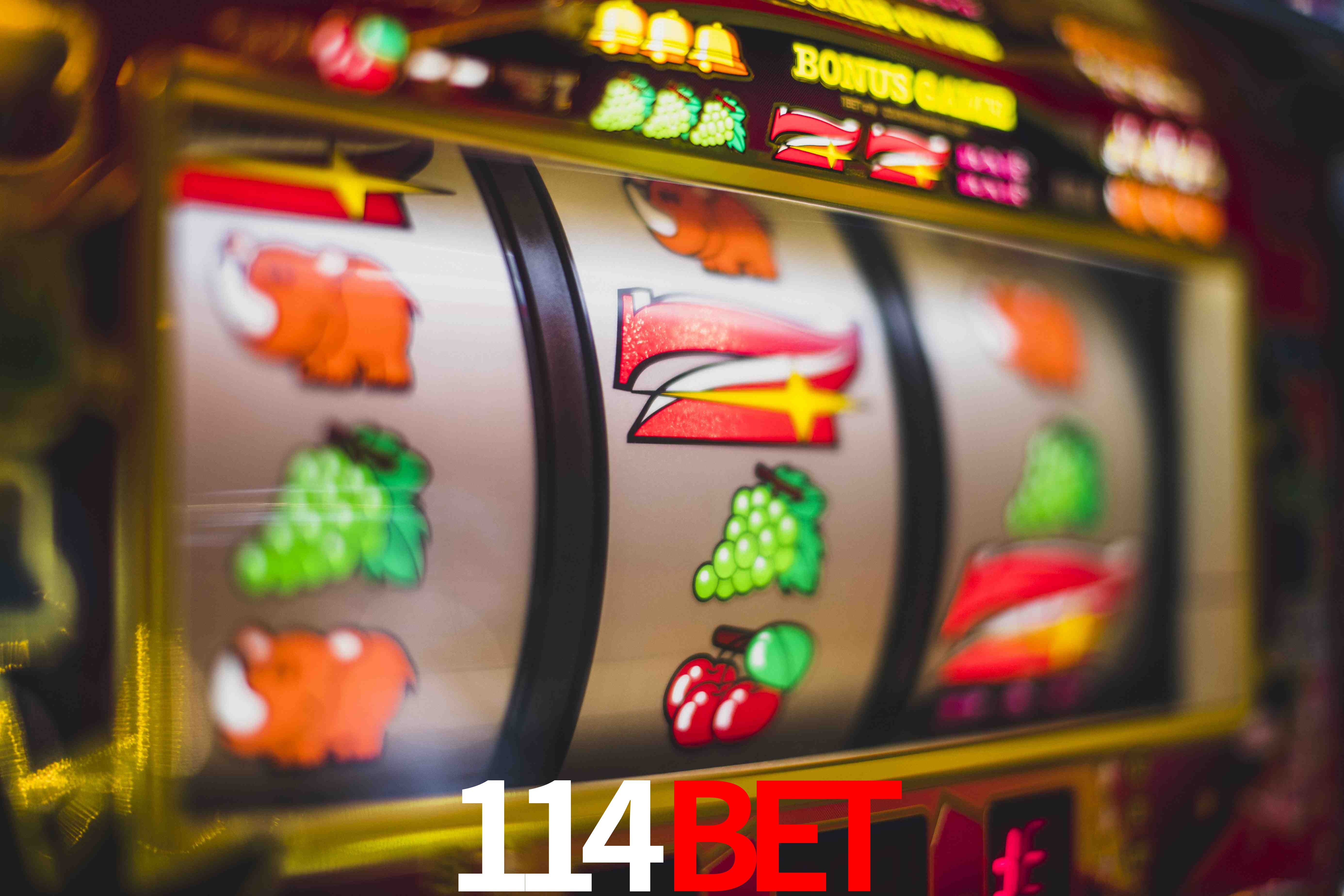 Tennis Betting 114bet